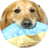 はくたかさん