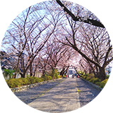 韓非さん